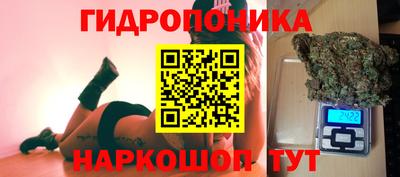 дмт Ставрополь