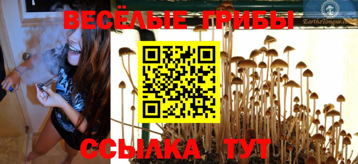 купить закладку  Галлюциногенные грибы мухоморы  Вход с VPN  Павлово 