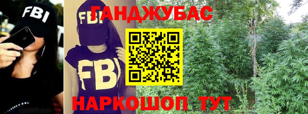 Павлово  Конопля VHQ  Вход с VPN  Шишки марихуана семена 